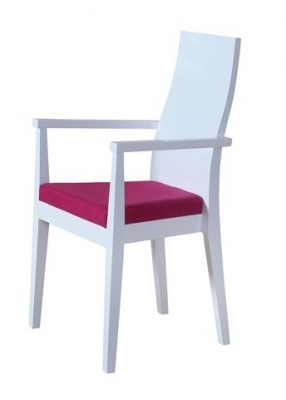 Fotelis B-1003